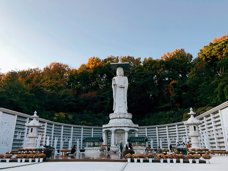 서울 봉은사 ::: 도심속 힐링 명소