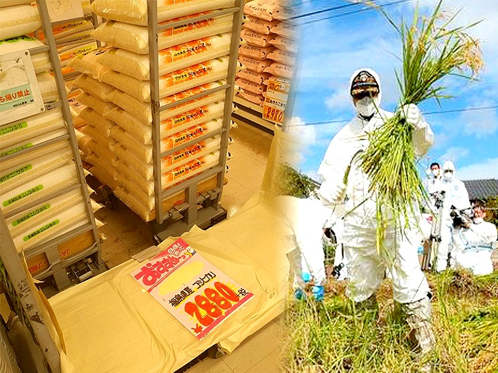 후쿠시마산 쌀이 일본 마트에서 불티나게 팔려나가는 이유