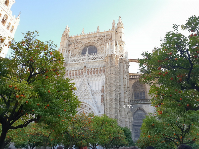 스페인 # 세비야 대성당 Sevilla Cathedral