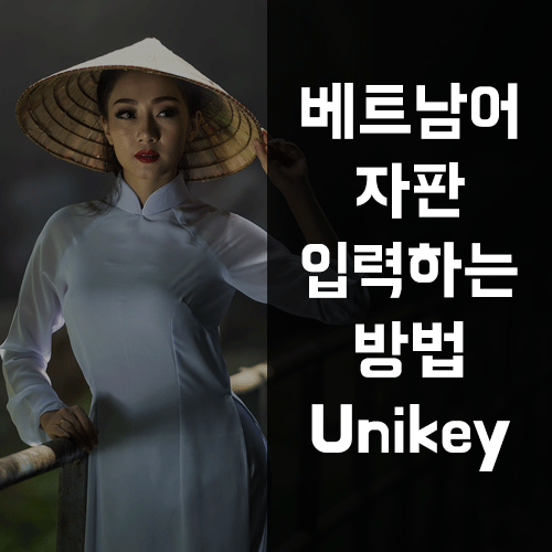 베트남어 자판 입력하는 방법 - feat.Unikey