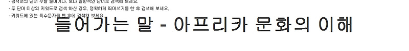 정식으로! 들어가는 말 - 아프리카 문화의 이해 과대광고 논란?