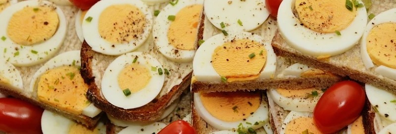 계란에 대한 궁금증 / 삶는 시간 삶는 법 칼로리 단백질 효능