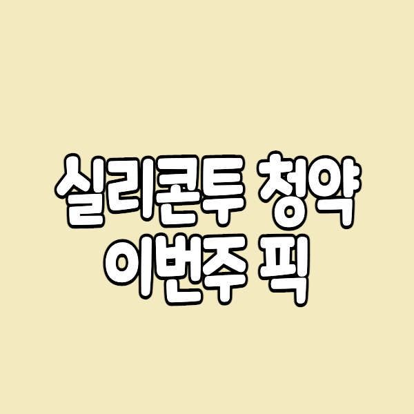 실리콘투 공모주 청약 수요예측 결과는?