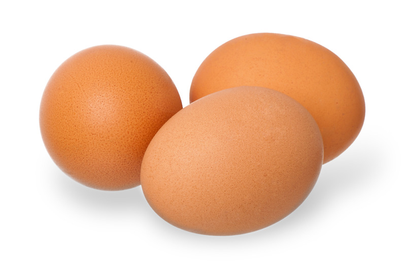 오늘의 저녁 뉴스 11월 27일  코로나 면역성분이 계란에 7가지 있다?