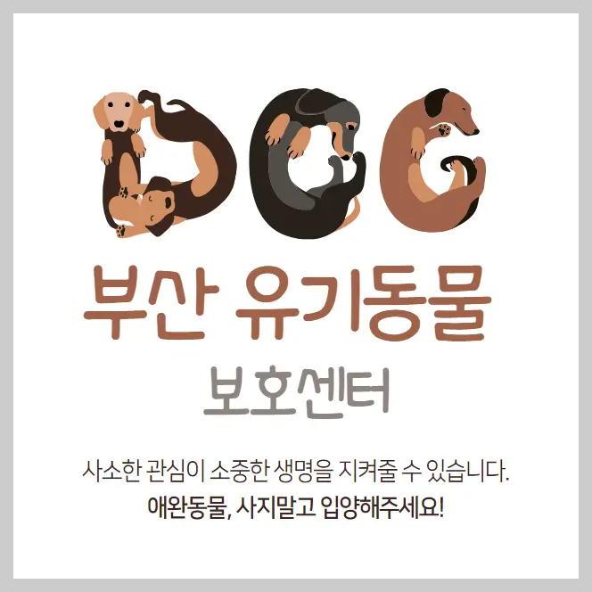 부산 유기동물보호센터 강아지 고양이 유기 동물 보호소 5곳