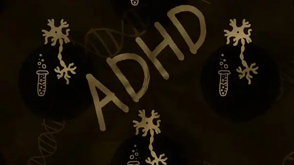 ADHD 증후군 원인 및 증상, 자가진단 테스트, 치료방법