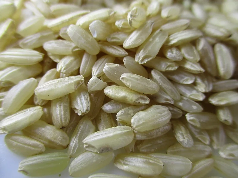 건강한 현미밥, 맛있게 짓는 법 현미쌀 불리는 시간