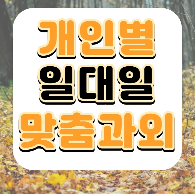 신도림 초등 영어과외 초등학생 중학생 2학기 중간고사 방학대비 특강 수업 기초 초보 구로 중학생 수학과외 국영수 과목별 내신 맞춤 전문