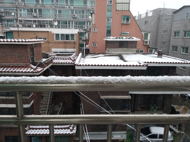 [20201213]일요일 아침 올해 겨울 서울에 첫눈이 내렸어요