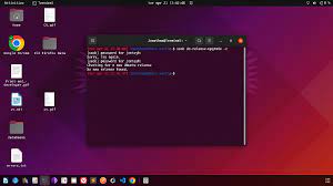 Ubuntu 우분투 무엇일까
