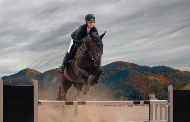 Equine Amnio Solutions Signs Exclusive Agreement For Distribution Of RenoVō, A Next-Generation Equine Regenerative Product