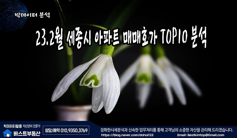 23.2월 세종시 아파트 매매호가 TOP10 분석 !!!