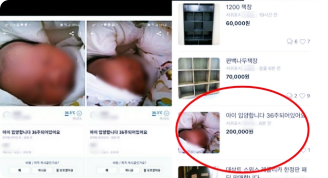 제주 당근마켓에서 '36주 영아 20만원' 판매글 올라와 충격
