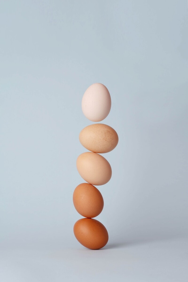 계란의 효능과 요리방법
