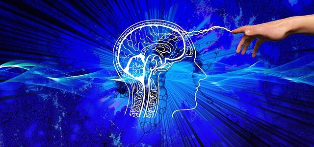머리 바깥쪽에서 뇌를 조작하다.DARPA가 지원하는 「브레인·컴퓨터·인터페이스」의 개발이 진행중(미 연구)