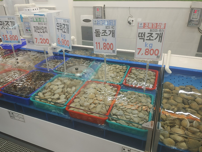 인천 연안부두 수산시장 고래마켓 어시장과 바로 먹는 조개찜 맛집리뷰