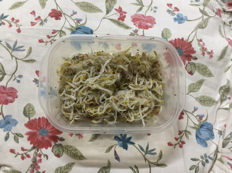 아삭아삭한 맛, 숙주나물(Mung Bean Sprout Salad)
