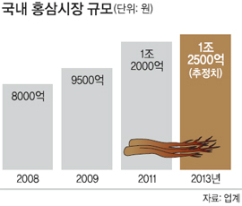 홍삼농축액 한국인이 가장 사랑하는 건강식품 홍삼의 효능