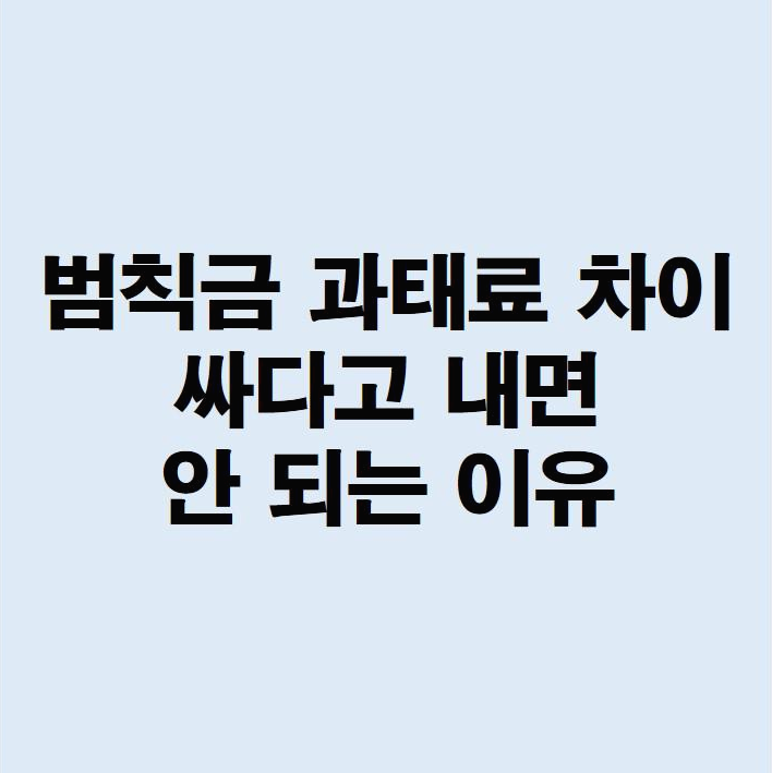 범칙금 과태료 차이 싸다고 내면 안되는 이유