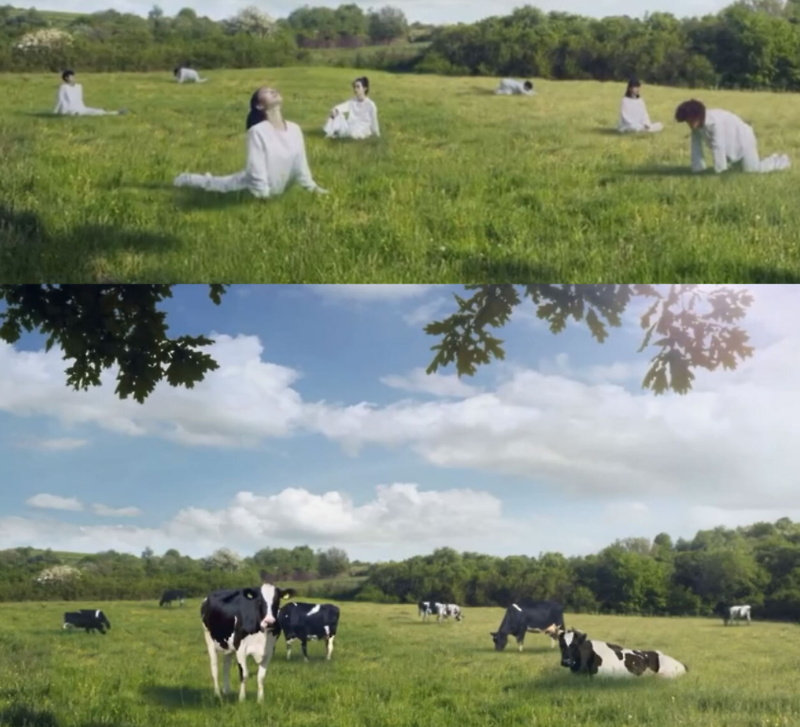 서울우유 유기농 광고 여성 비하 젖소 ㅡㅡ