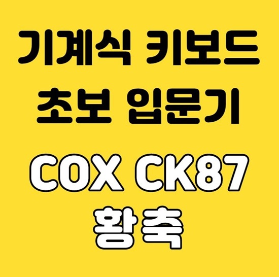 기계식 키보드 입문기 COX CK87 황축