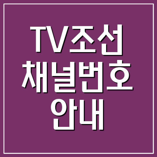 TV조선2 채널번호 정보