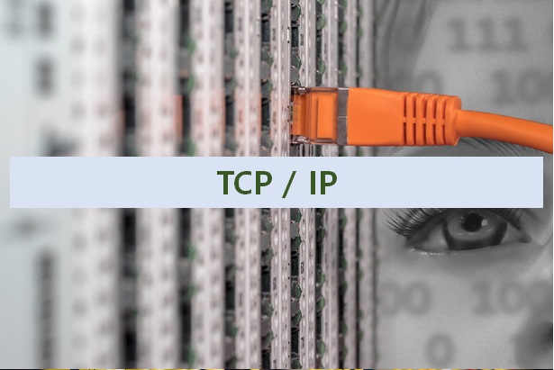 TCP와 IP