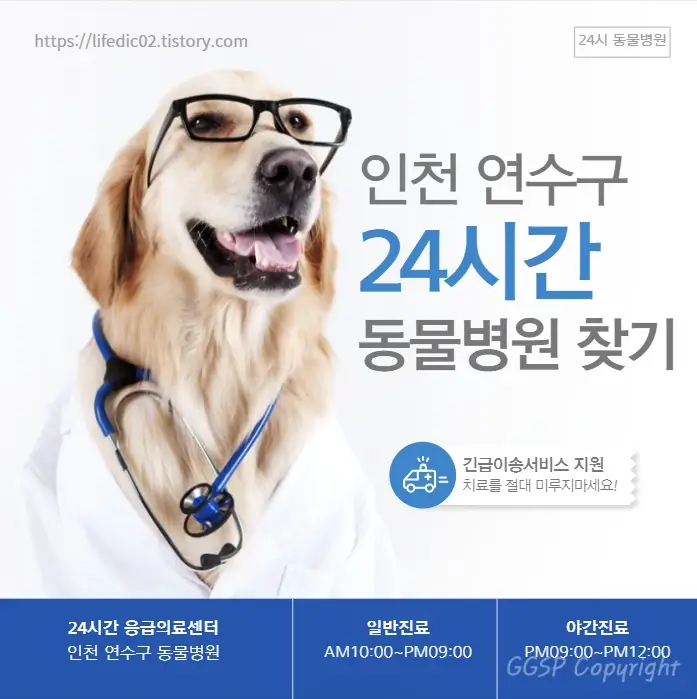 인천 연수구 24시간 동물병원 근처 야간 일요일 강아지 병원 41곳