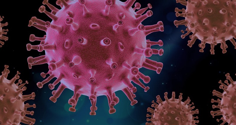 코로나 델타바이러스, 변이바이러스 왜 생겨났을까요?