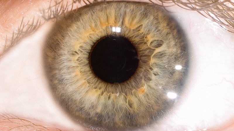 눈의 동공 확장(팽창) 테스트를 통한 청력평가 연구