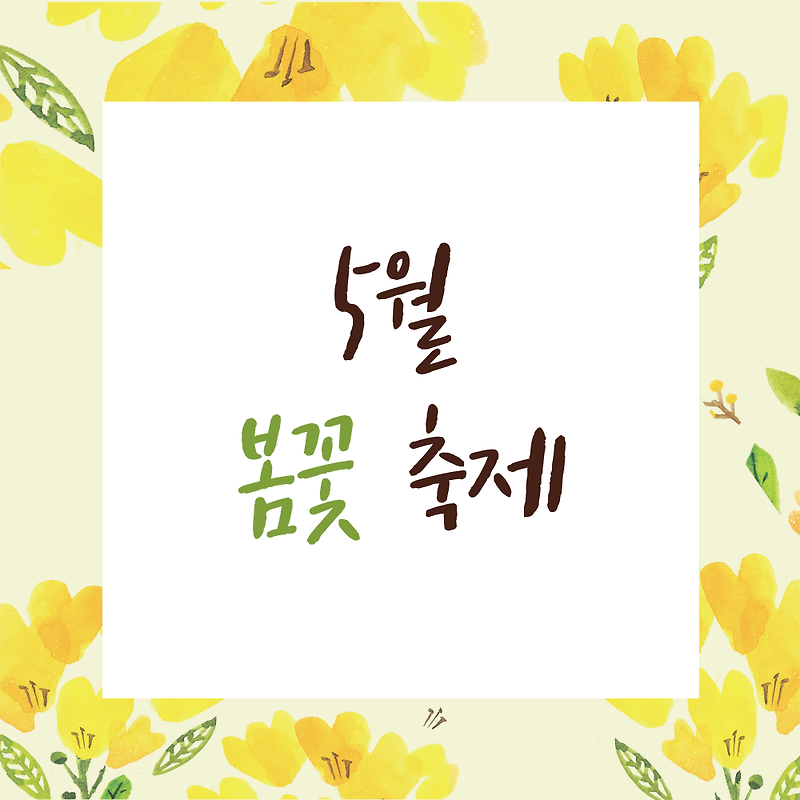2024년 지역별 5월 꽃축제 꽃놀이 봄꽃 축제 명소 유채꽃 철쭉