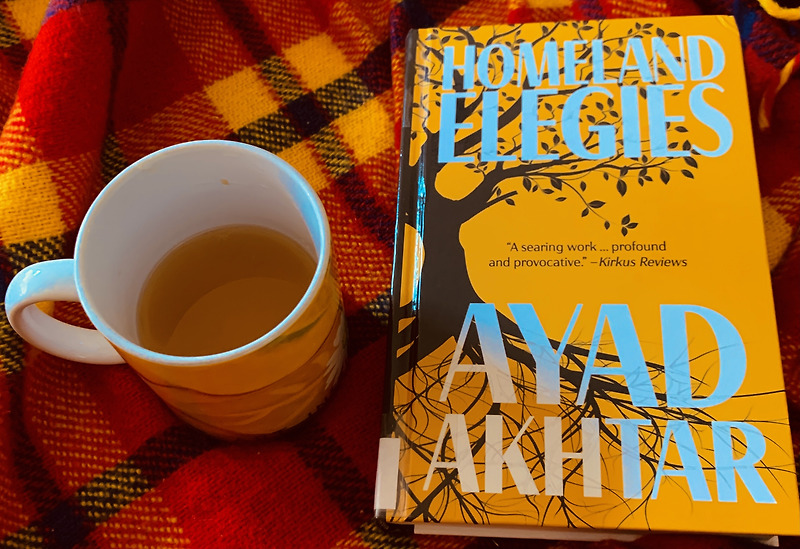 Homeland Elegies by Ayad Akhtar : Review