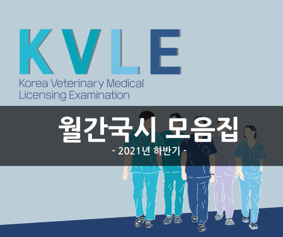 수의미래연구소, 'KVLE 월간국시 모음집' 출간... 