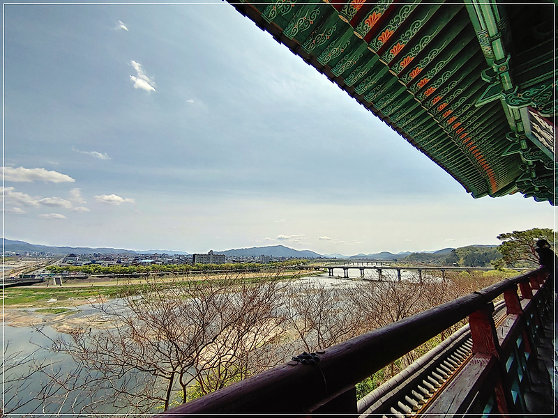 경주 금장대 경주 풍경 형산강 산책길