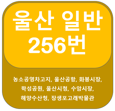 울산256번 버스 노선 안내, 울산공항,시청,장생포 고래박물관