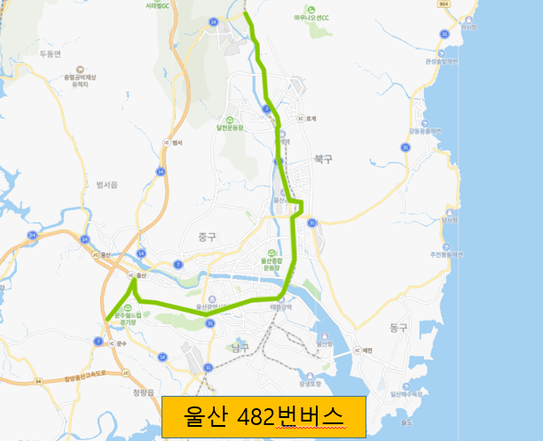 [울산] 482번버스 시간표 및 노선 : 울산대, 고속버스터미널, 태화강, 울산공항