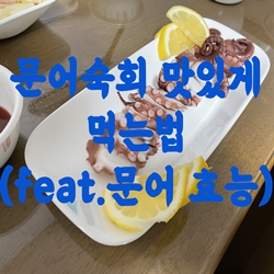 문어숙회 맛있게 먹는법 (feat.문어 효능)
