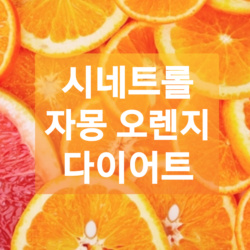 [의사] 시네트롤 자몽 오렌지 다이어트 효과, 효능, 부작용