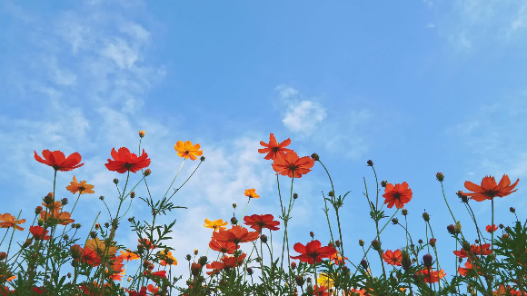 [회개하는법] 당신은 주님이 말세에 어떻게 나타나 역사하시는지 아시나요?