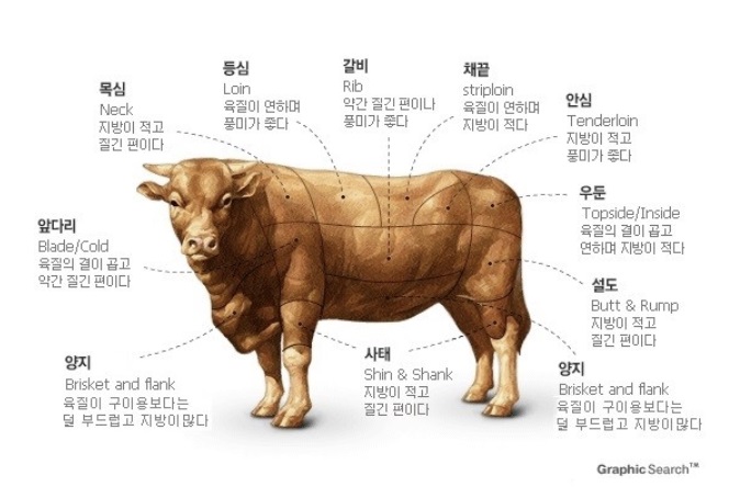 소 등심 안심 채끝 특징과 소고기 3대 스테이크 부위 차이점