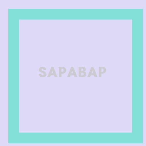 무엇이 진실인가? SAPABAP 5가지 체크리스트