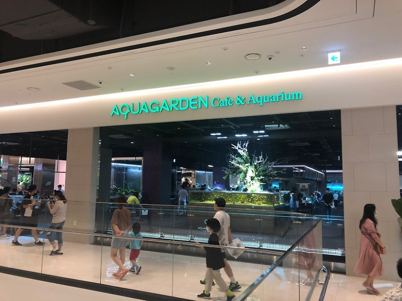 [기흥카페]  AQUAGARDEN(아쿠아가든) - 용인 기흥 리빙 파워 센터점