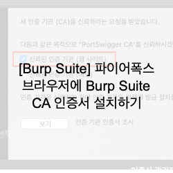 [Burp Suite] 파이어폭스 브라우저에 Burp Suite CA 인증서 설치하기(Install Burp Suite CA Certificate in FireFox Browser)