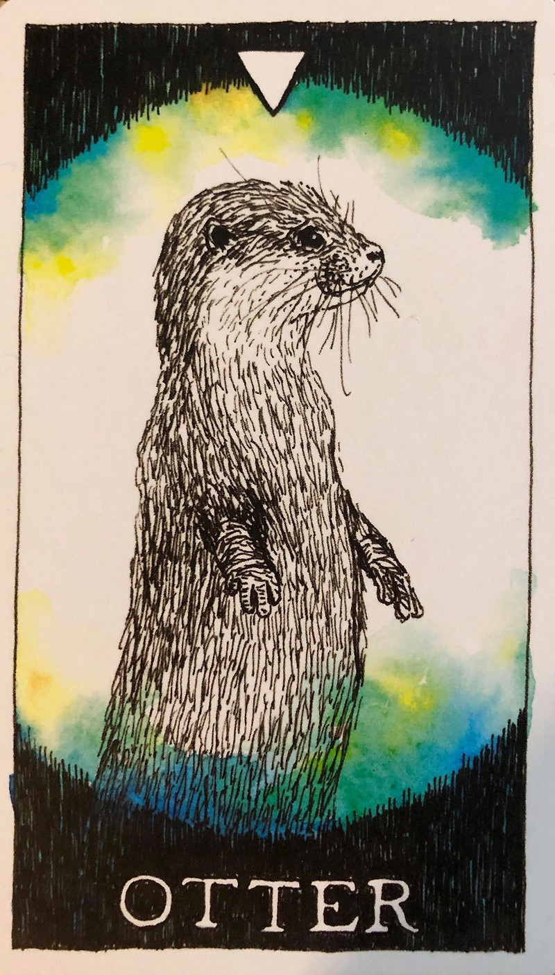 [오라클카드배우기/와일드언노운애니멀스피릿]The Wild Unknown Animal Spirit Otter 수달 해석 및 의미