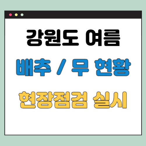 강원도 여름 배추 (생산 현황, 농림축산식품부)