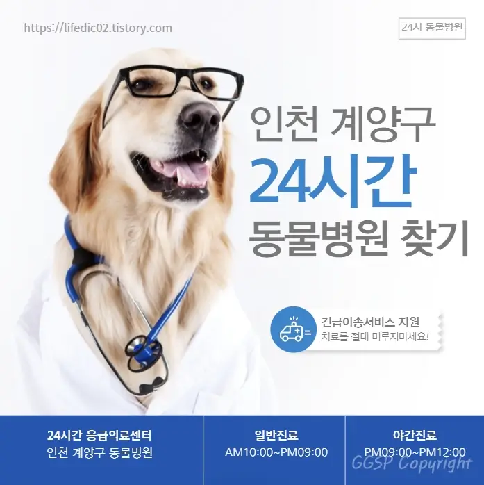 인천 계양구 24시간 동물병원 근처 야간 일요일 고양이 병원 23곳