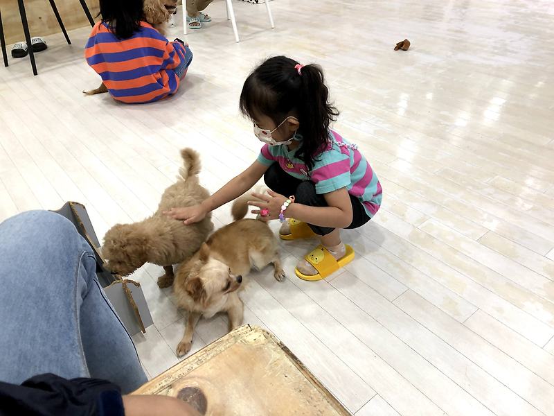 부산주례애견카페 - 5세 아이와 함께 간 욜로오시개 애견카페 방문기!