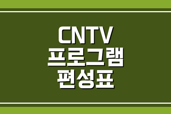 CNTV 프로그램 편성표 보기