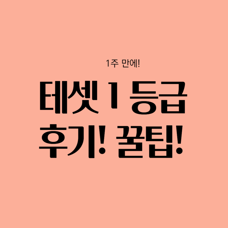 테셋/테샛 1급 독학 후기 공부법!(자료첨부) 꿀팁! 1주일 공부 수기