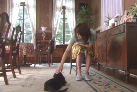 일본 후지 TV의 기묘한 이야기 시리즈 2006년 가을 특별편 고양이의 보은(猫が恩返し)